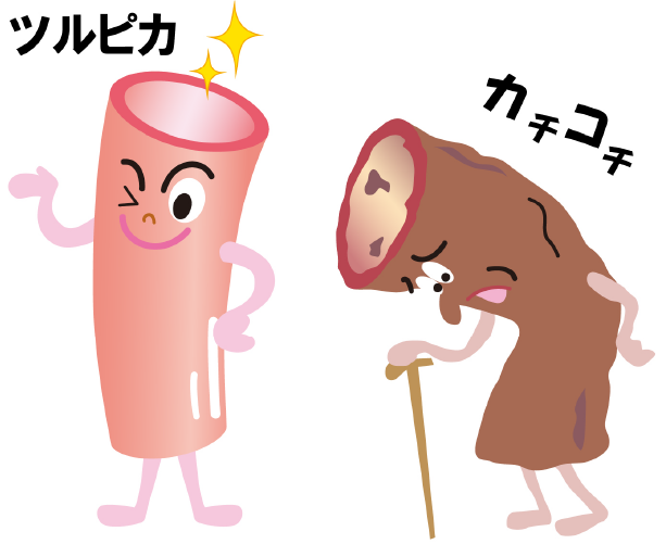 血管のイラスト